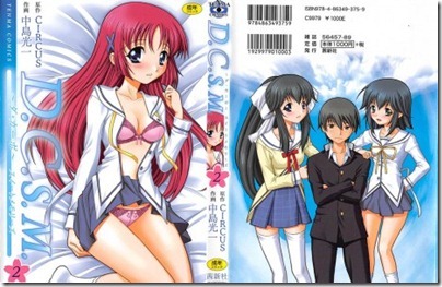 D.C.S.M.2-463x300